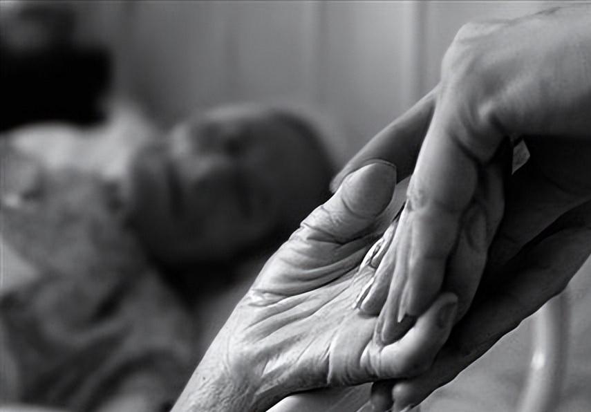 河北小伙总梦到一棵梨子树,河北男孩梦到梨树