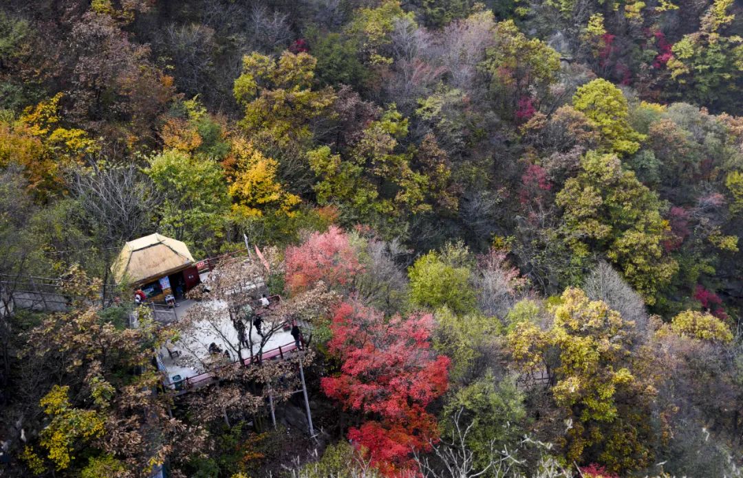 洛阳网红打卡地推荐,洛阳又一个网红打卡地