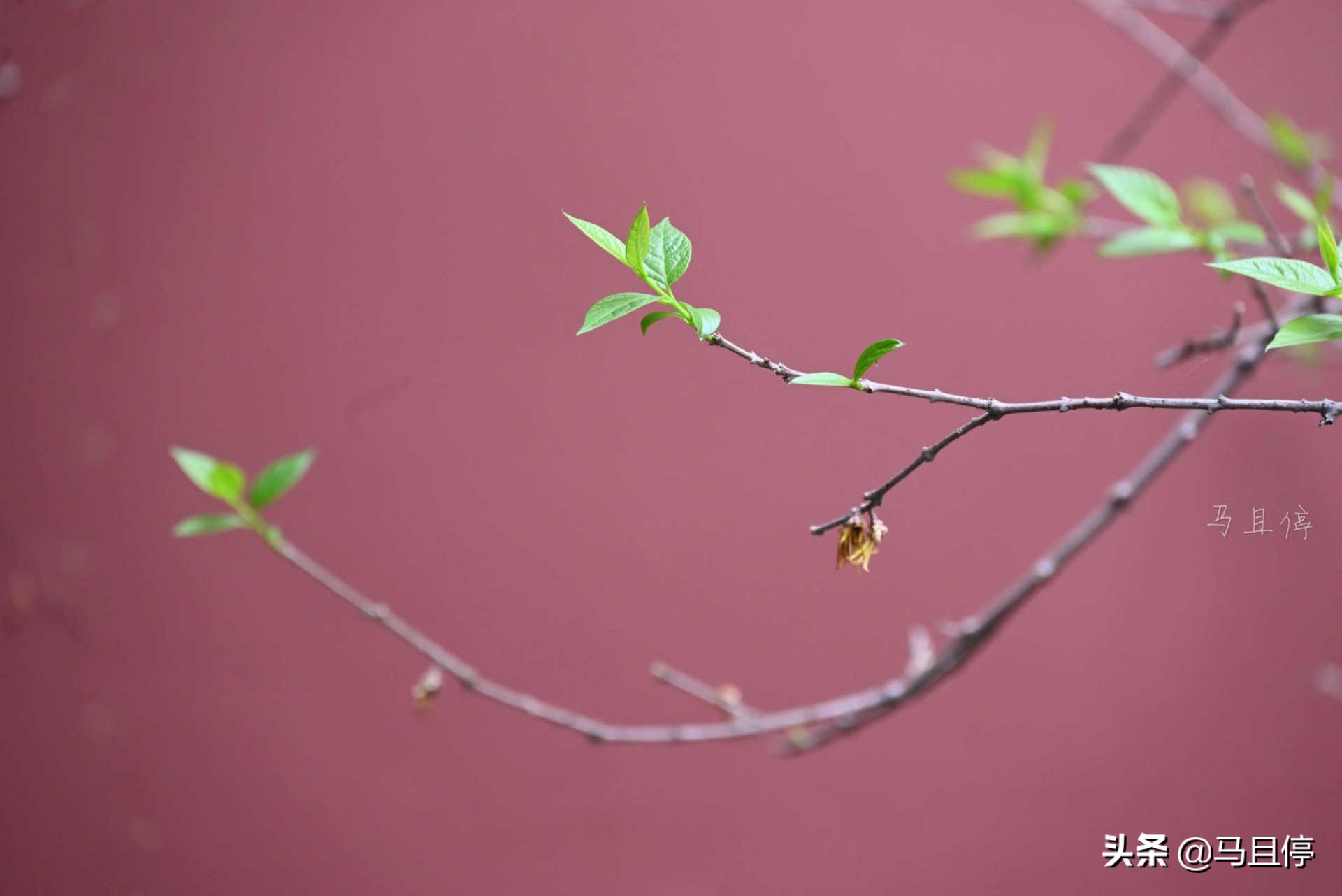 杭州五月最佳旅行地清单,四月西湖旅游攻略