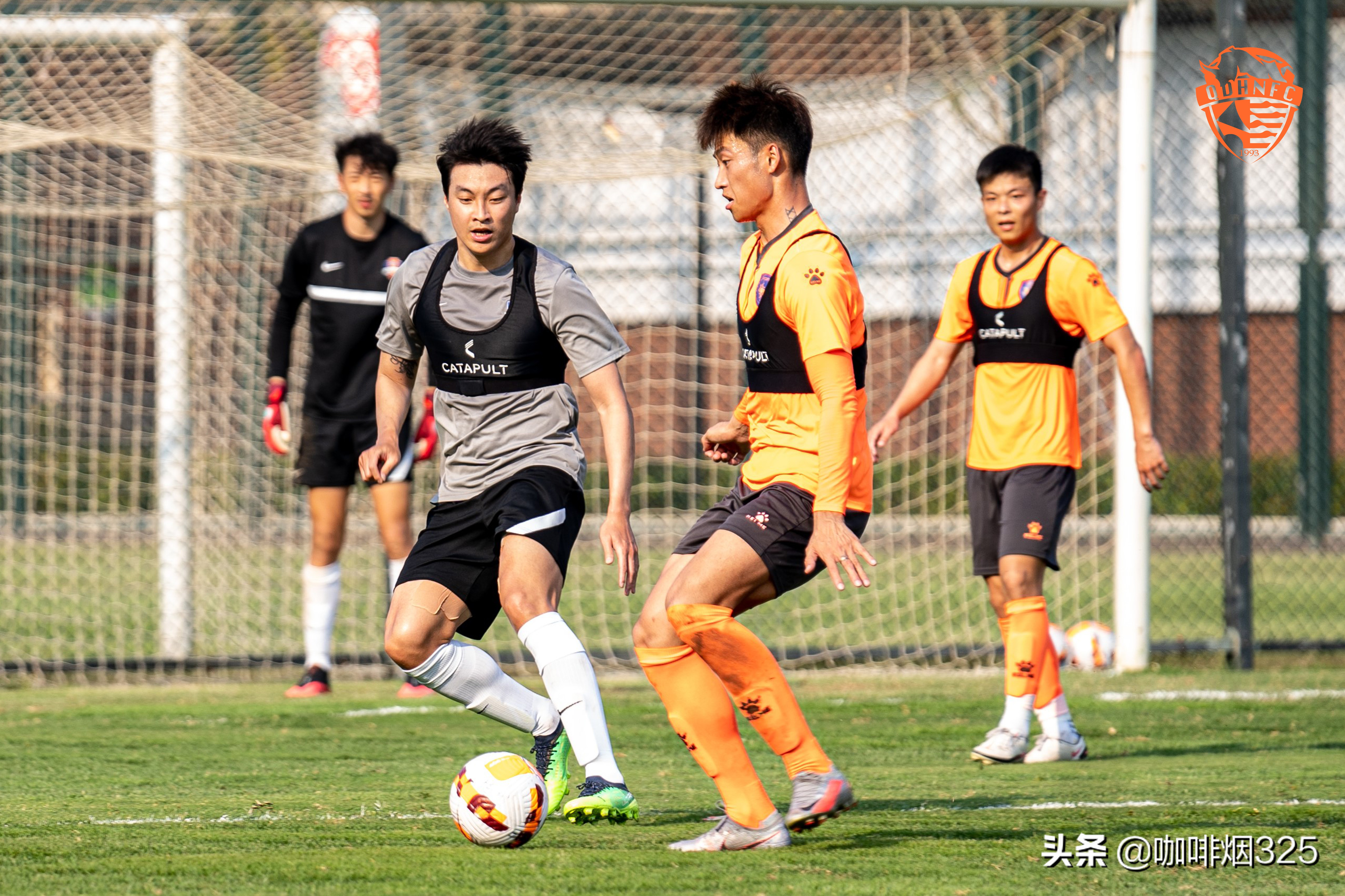 2024赛季青岛海牛离队球员,青岛海牛内援引援情况