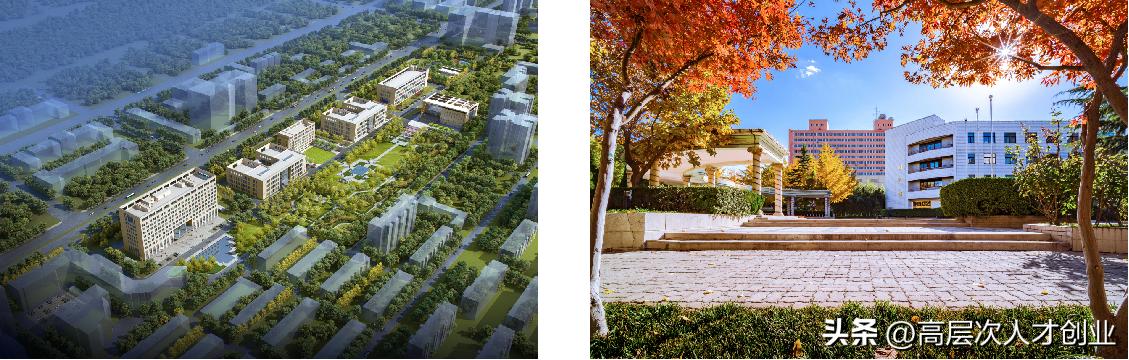 中国石化上海石油化工研究院招聘,中石化石油化工科学研究院待遇