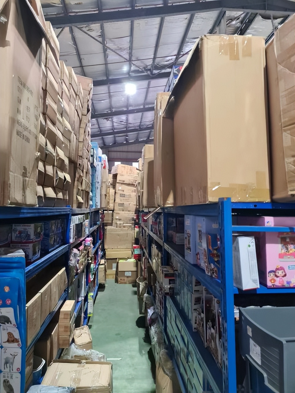 章鱼网络,章鱼网