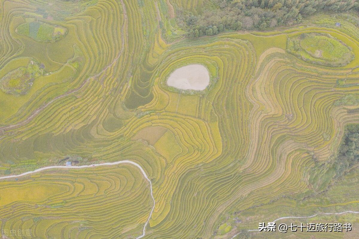 广西龙脊梯田旅行视频,龙脊梯田2020年国庆