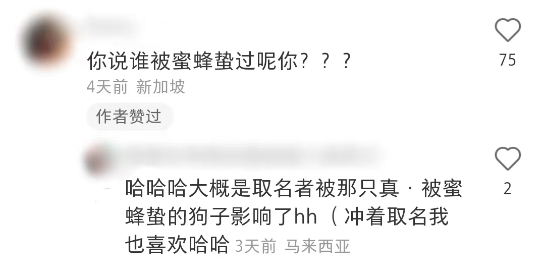 jellycat所有款式,给jellycat海盗狗起名