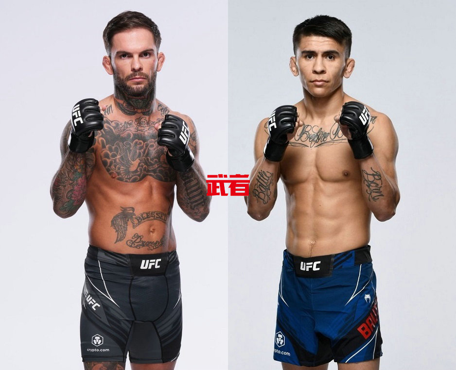 UFC292：安德莉亚·李vs娜塔莉亚·席尔瓦