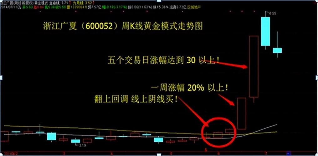 职业股民的忠告,股民炒股忠告