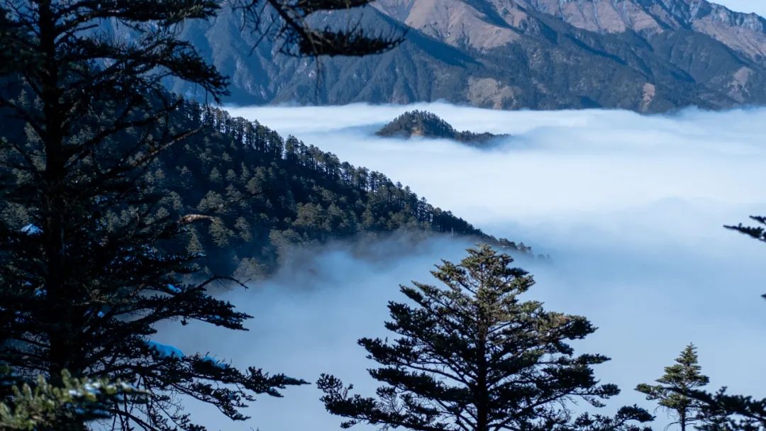 1.5h刹拢！被誉为川版“花城”，这个宝藏好耍地美得不像话