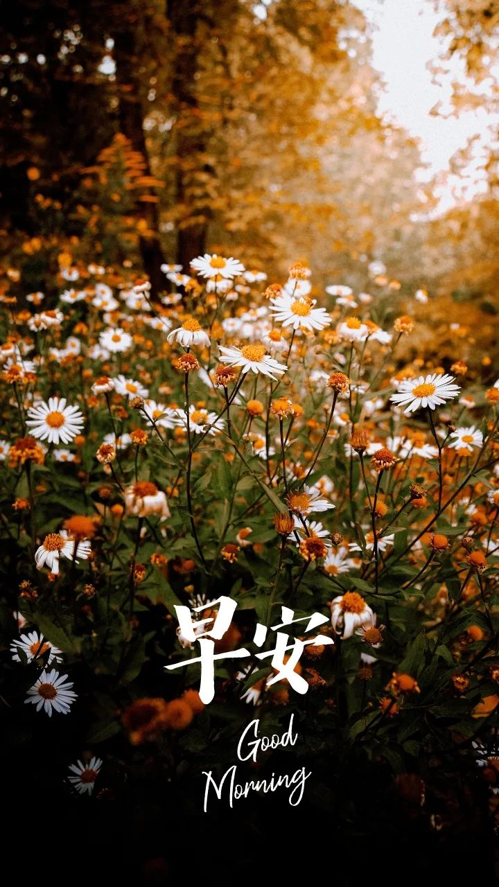 三月流焱：只要热爱，山海皆可平，无处不是风景