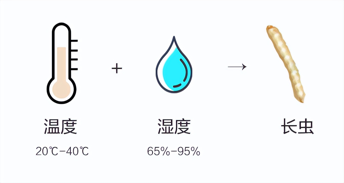 大米有虫子了怎么把它筛出来,大米中出现了小虫怎么办