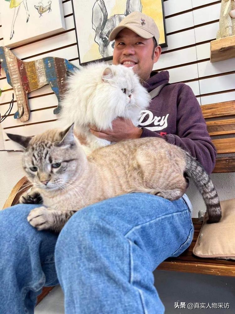 我，36岁财务自由，在美国豪横买庄园买山，还买个农场养羊驼玩