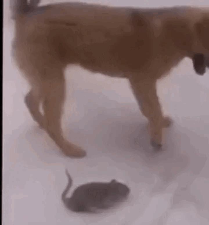 轻松一刻：这样的破电脑，收废品的竟然出价500块钱收，真是疯了