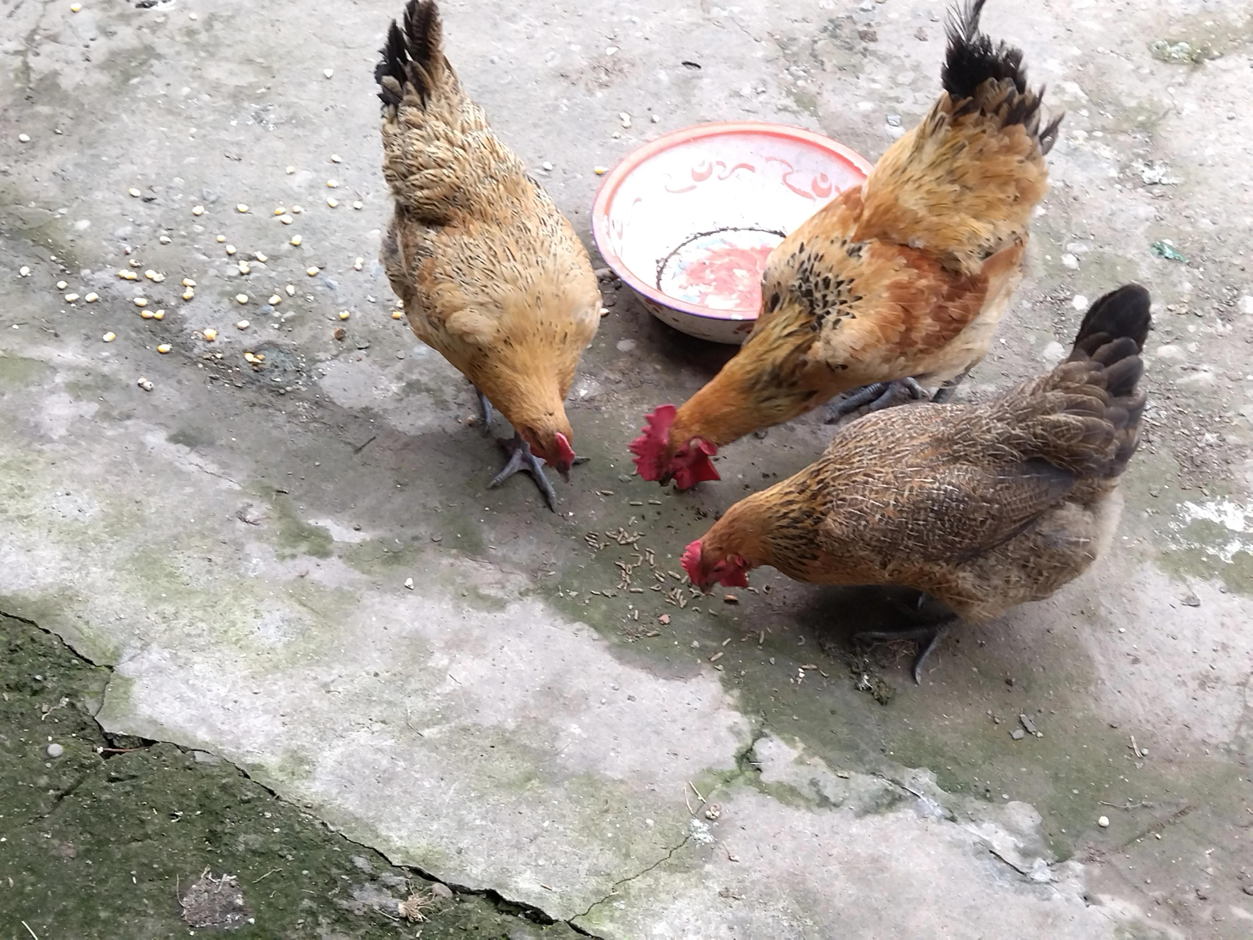 现今零成本好的致富门路,简单致富小生意