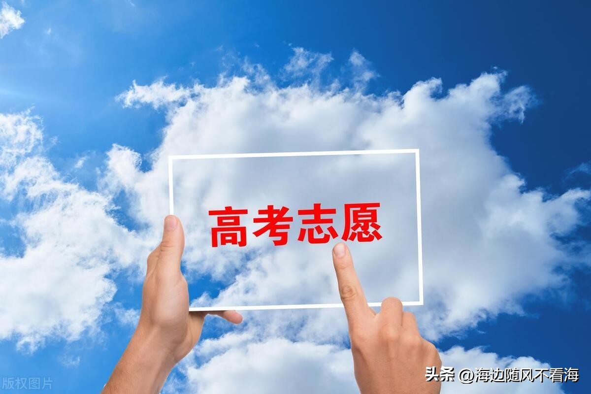 山东省2024高考模拟志愿填报指南,2024年山东省模拟填报高考志愿