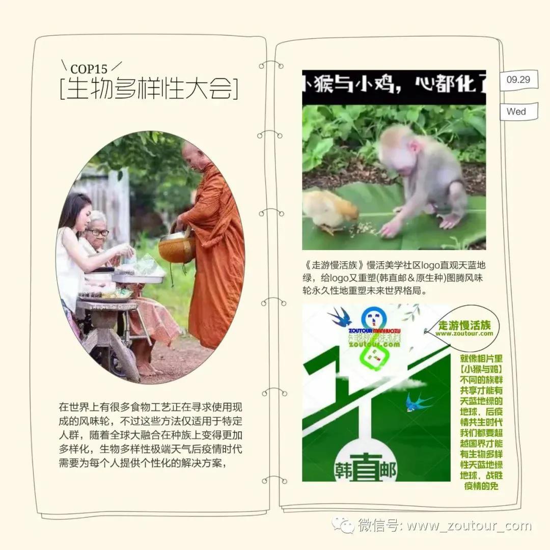 奥德赛前往下一个国家按哪个键,奥德赛前往下一个国家