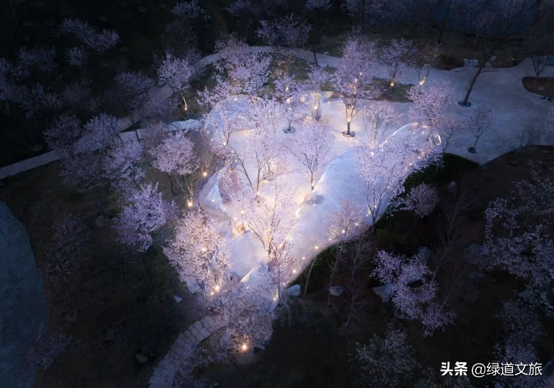 樱花树下的约定字体设计,樱花树下的约定完美国度