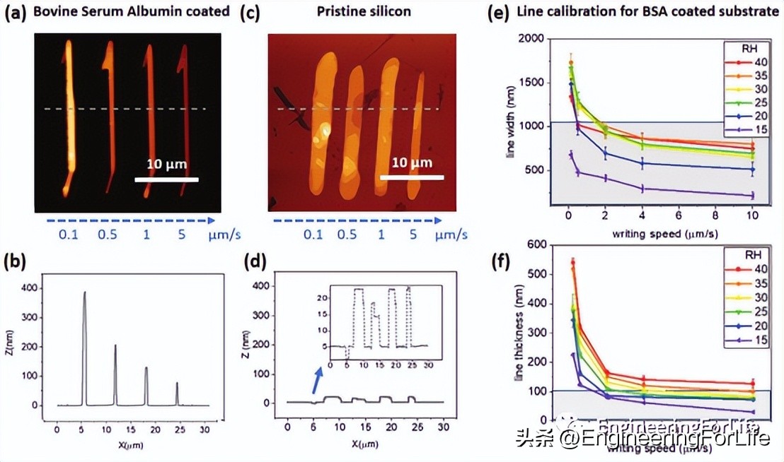 《Small》：生物灵感的三维纳米光刻！脂质墨水创建3D结构