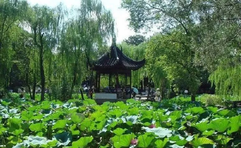 苏州旅游自驾一日游,苏州旅游一日游亲子游