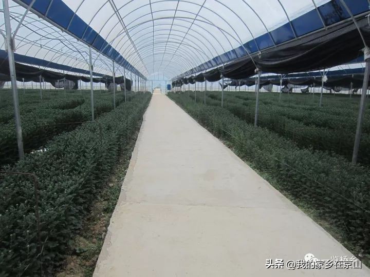 京山孙桥姬家河水库,湖北京山孙桥村