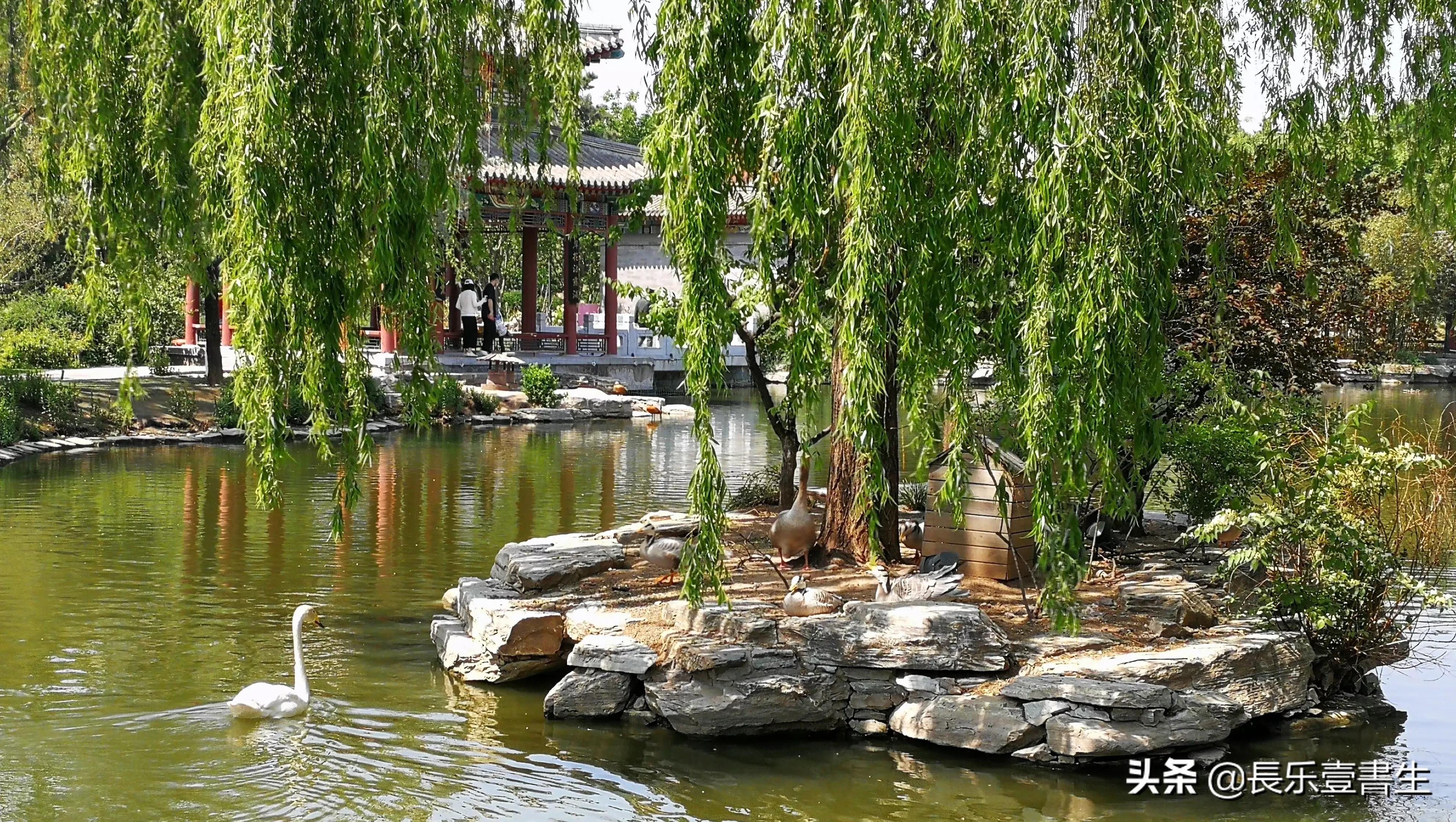 中国园林博物馆游览时间表,小众游玩强烈推荐北京园林博物馆