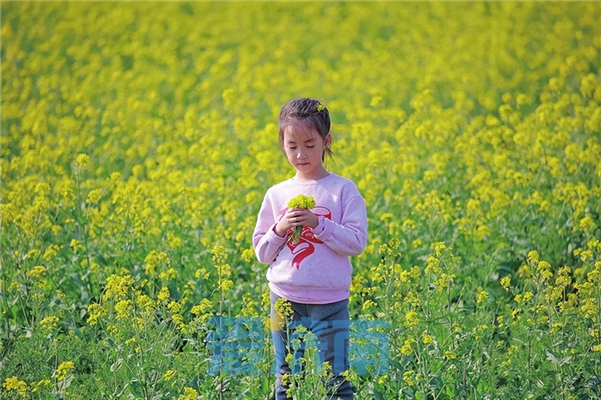 济南各区县如何破解流量密码，让“网红济南”长红？
