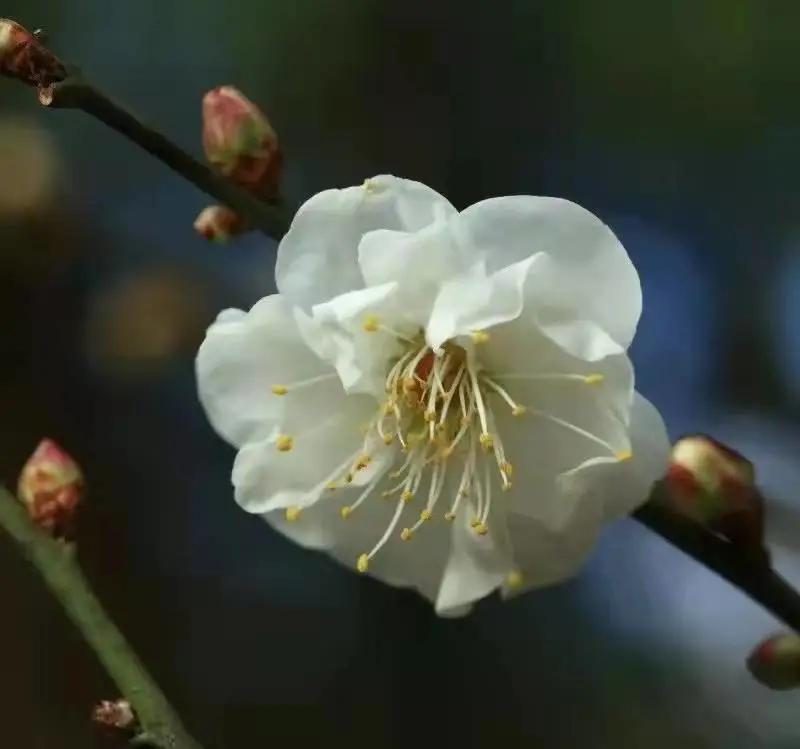 这个季节去哪里玩最合适昆明周边,昆明周边过年旅游推荐