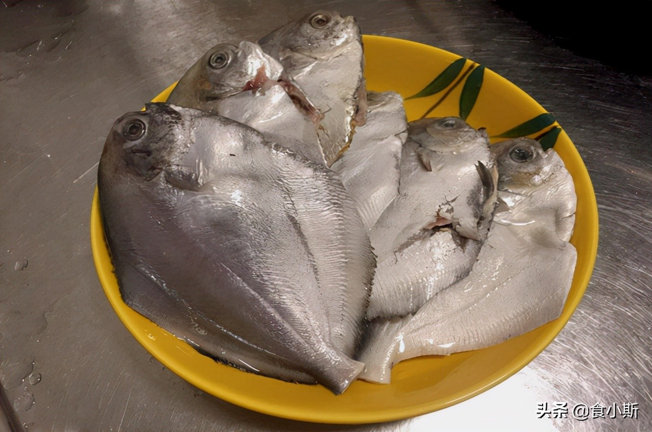最好吃的100种鱼图片,好吃的六种鱼赶紧记下来