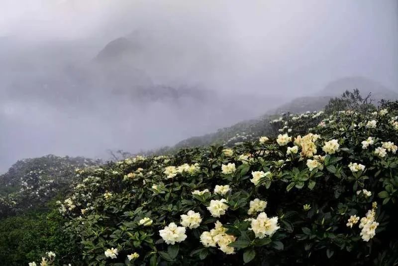 昆明七彩云南怎么样,七彩云南避暑家园