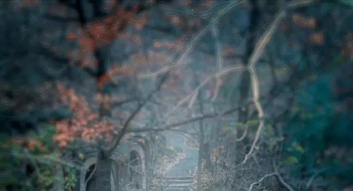 中庸智慧精华解析,中庸之道是先圣先贤的智慧结晶