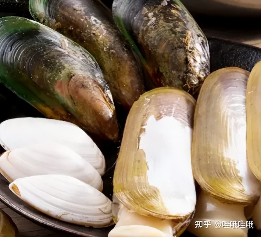 海鲜冰冻保鲜的正确方法,海鲜保鲜温度多少