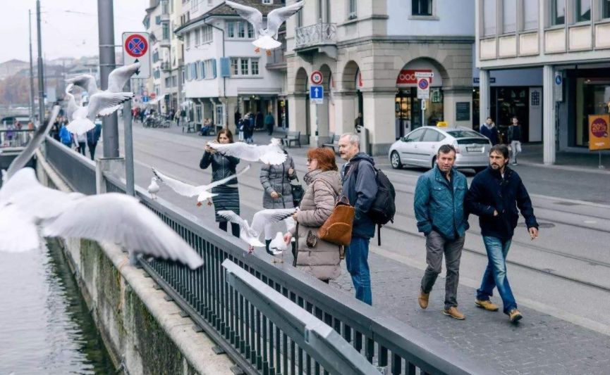“避税天堂”钟表王国瑞士现状，带你看看瑞士的冷知识