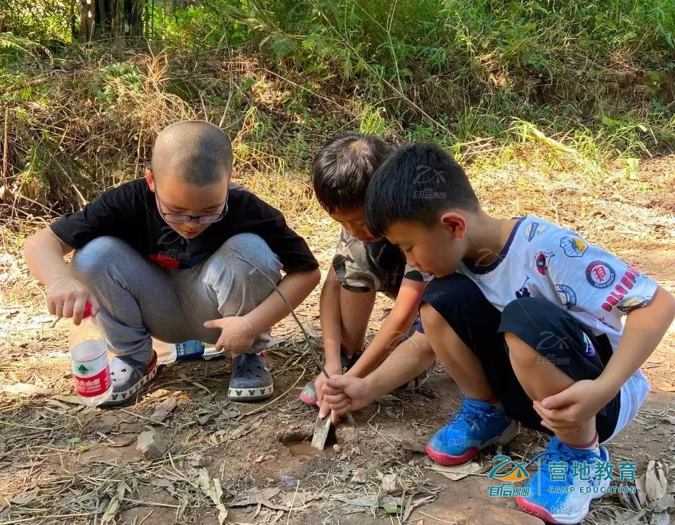 家庭教育十大原则让孩子全面发展,引领孩子一路成长谈谈家庭教育