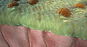 10秒治鼻炎,鼻炎5秒通鼻最快的方法