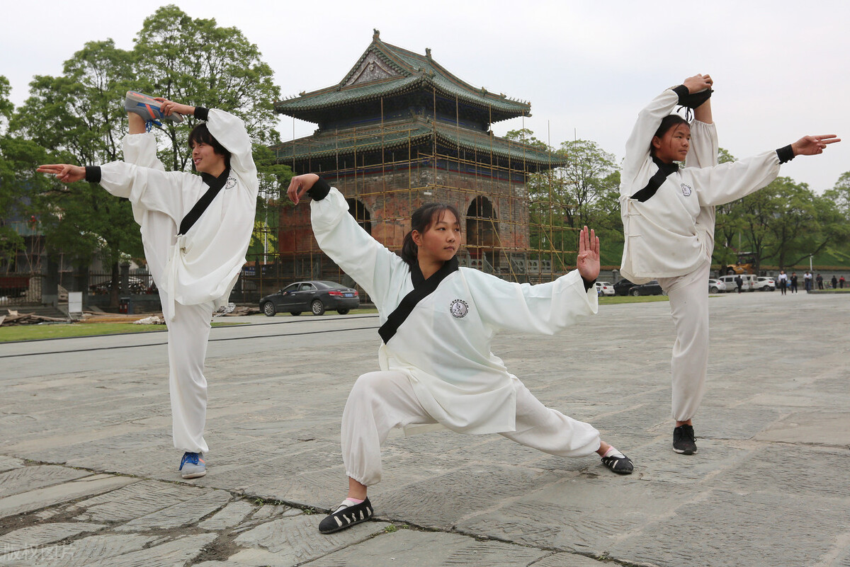 中国武术门派十大排名,中国武术流派