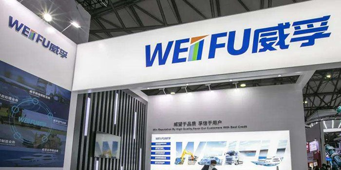 威孚高科股票基本面分析方法,对威孚高科的基本面和技术面分析