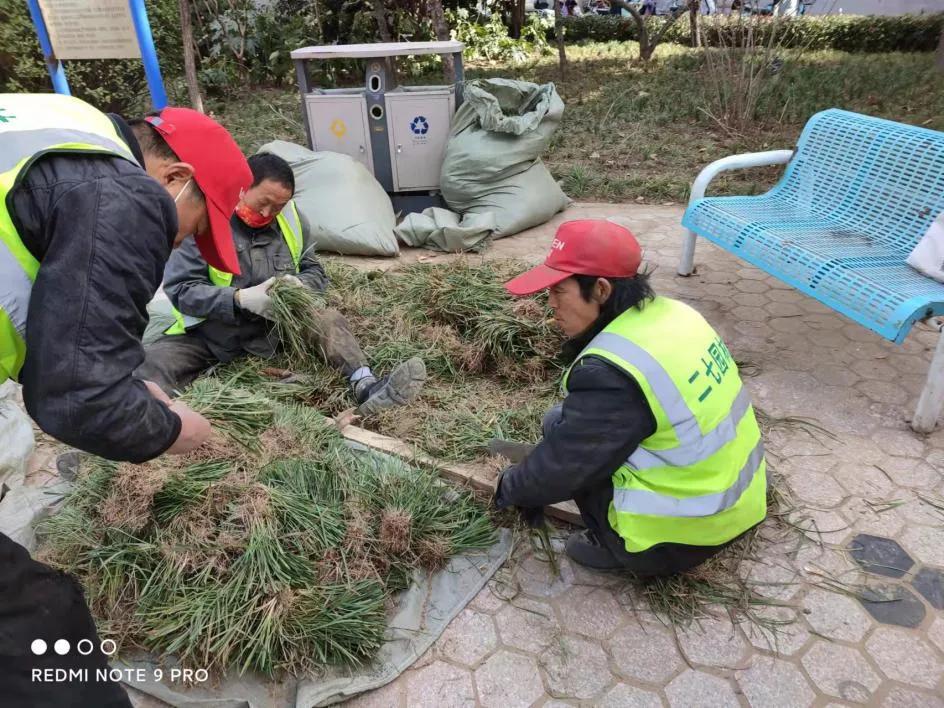 深耕细作精细化管理,深耕厚植强基固本