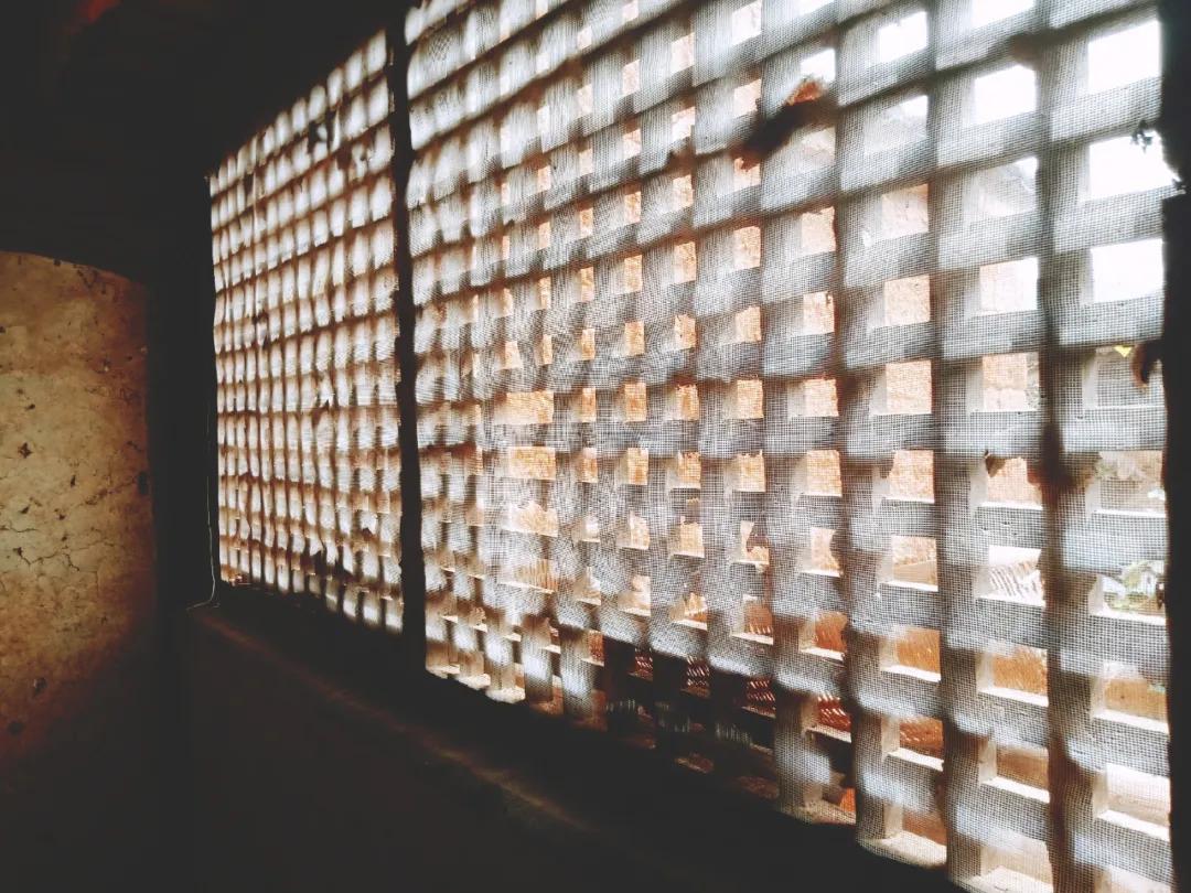 九河沿岸的历史,九河蜿蜒源远流长