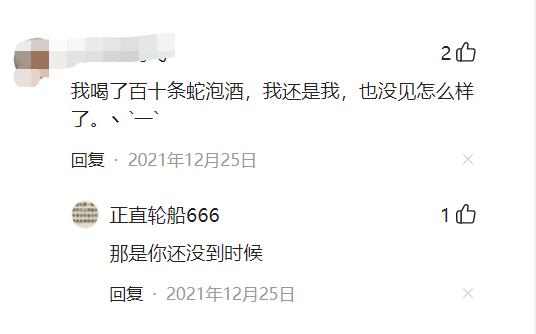 剧毒蛇泡酒,五步蛇泡酒喝吐血