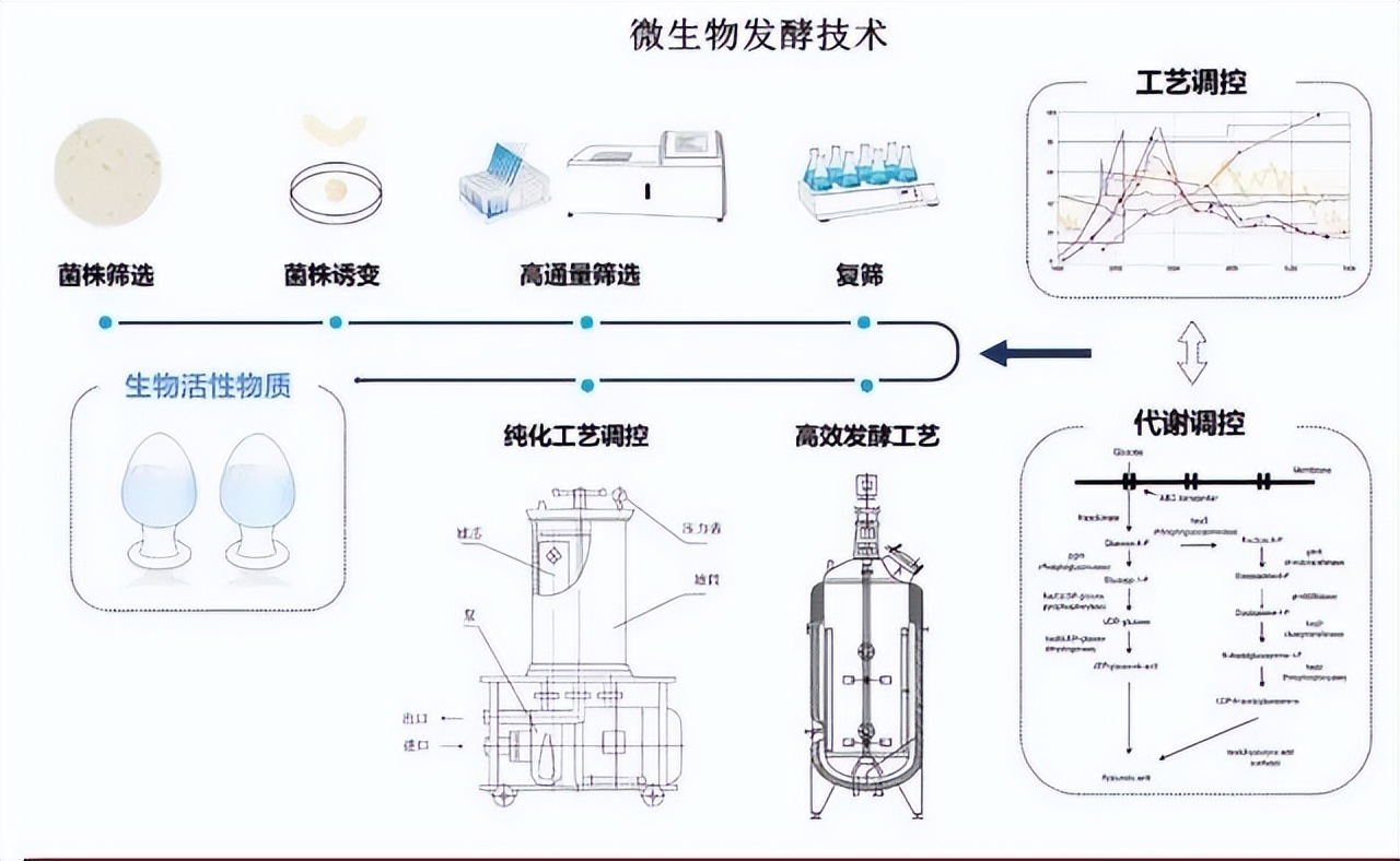 2023国际生物发酵产品与技术,世界首创生物发酵技术