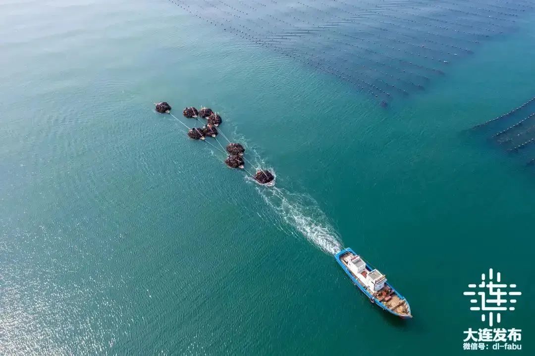 大连第60次新闻发布会,大连“两先区”建设