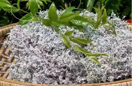 莓茶的产地及价格,正宗莓茶属于什么茶种类