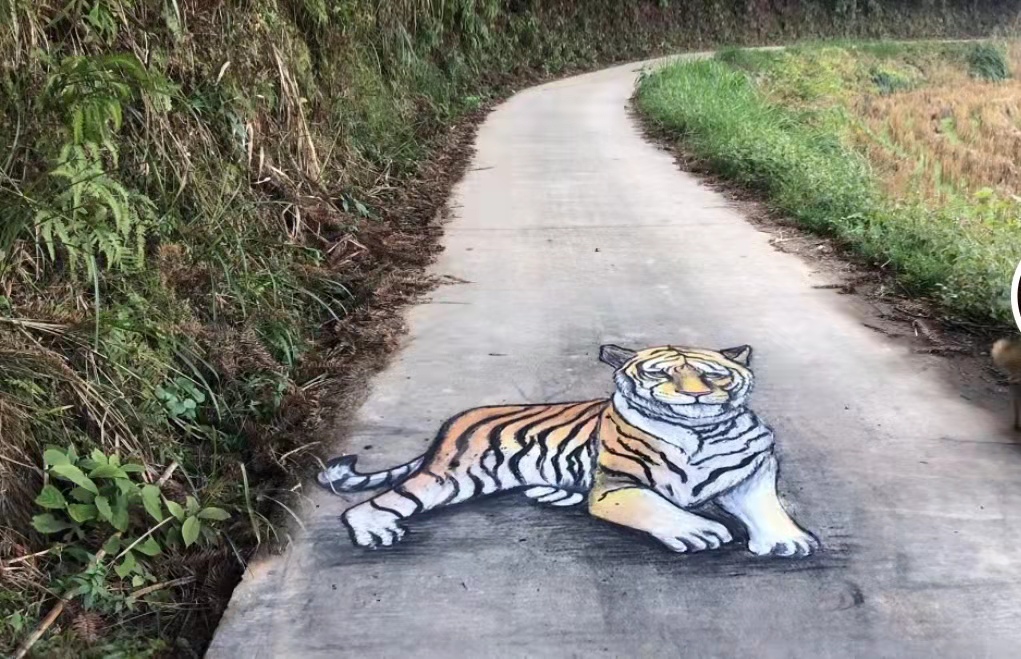 小伙画3d画太真实,民间画家3d画