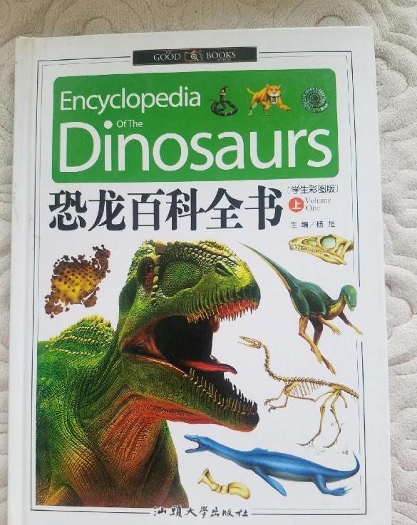 百和佰代表的意义,佰和百的区别是什么