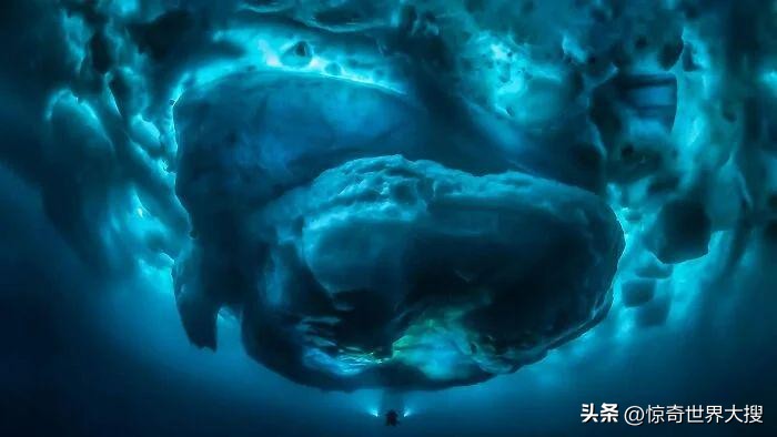 深海恐惧症最怕的100张图,深海恐惧症超长照片