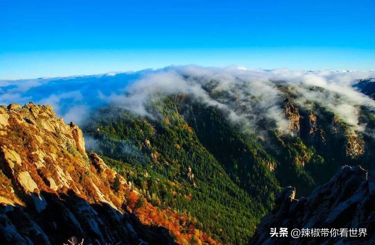 忻州一日游五台山雁门关忻州古城,五台山雁门关忻州古城三日游