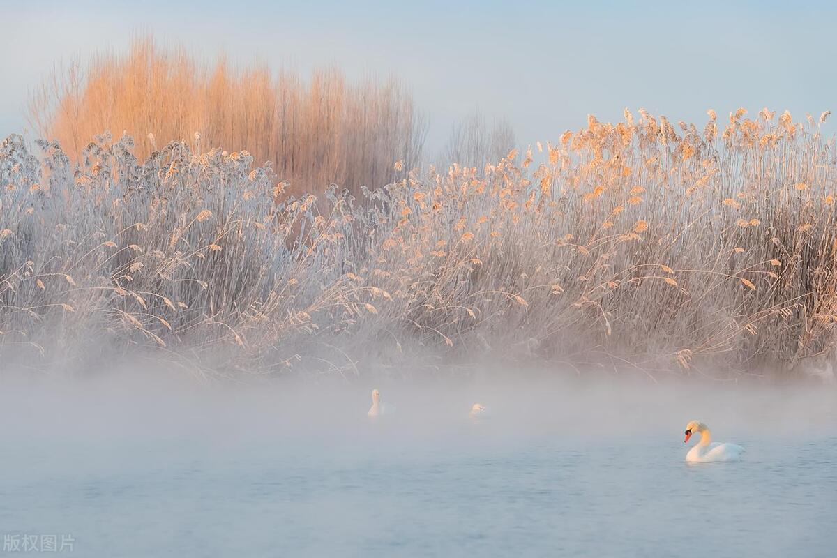 朱敦儒十大经典诗句,朱敦儒晚年大彻大悟