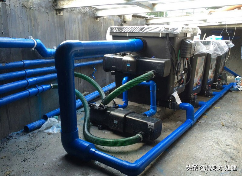 没有过滤器如何让鱼池更清澈,真正有效的鱼池过滤器