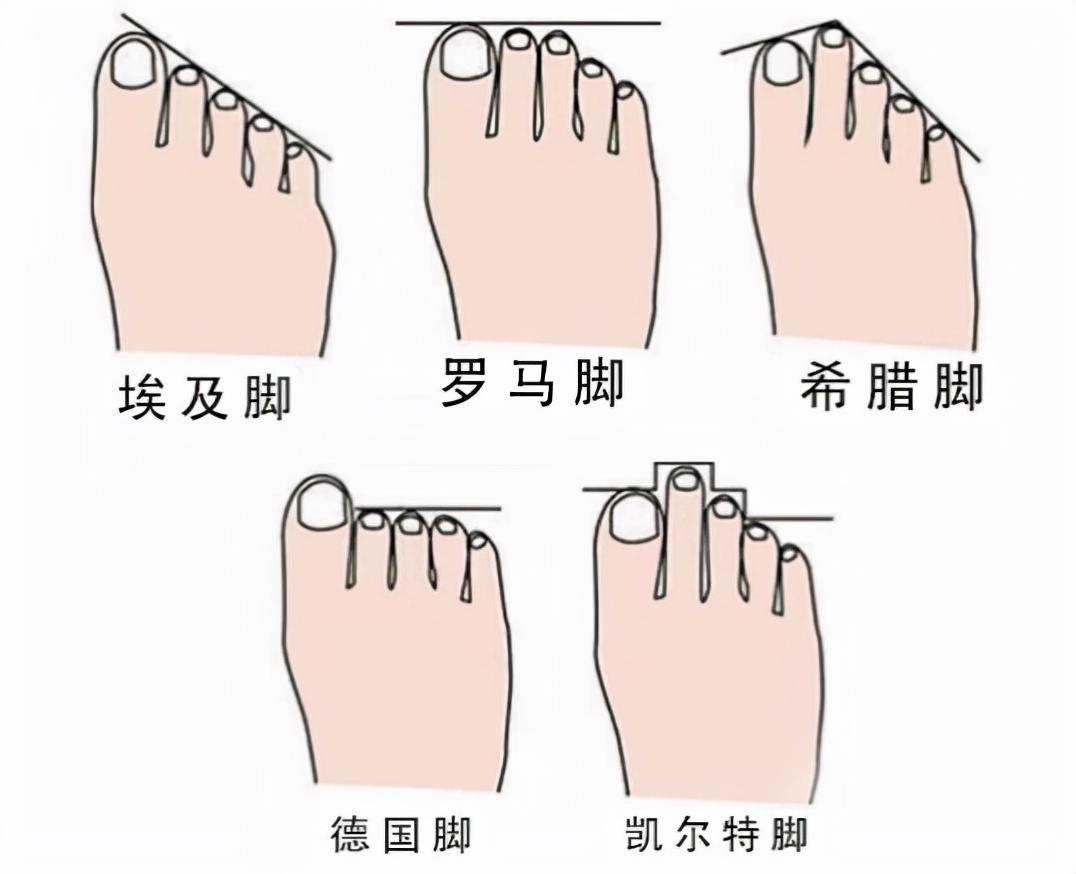 如何选择适合脚型的足球鞋,选一双适合的足球鞋