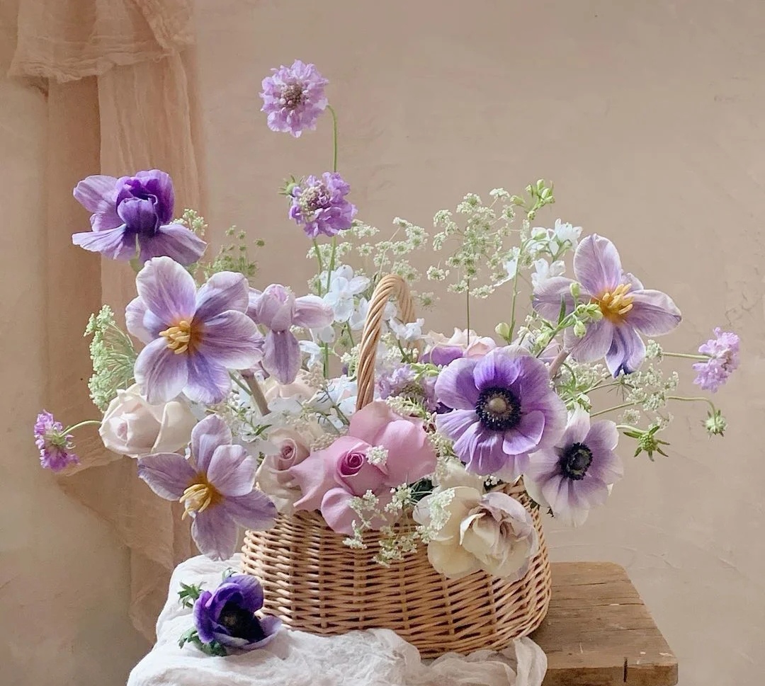 花艺教程花材打理知识,花艺教程常用花材及叶材有哪些