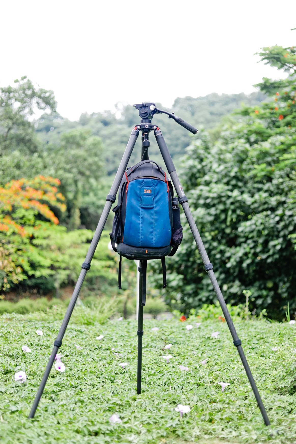 佳鑫畅悦拍鸟专用三脚架推荐,佳鑫悦三脚架怎样组成独脚架