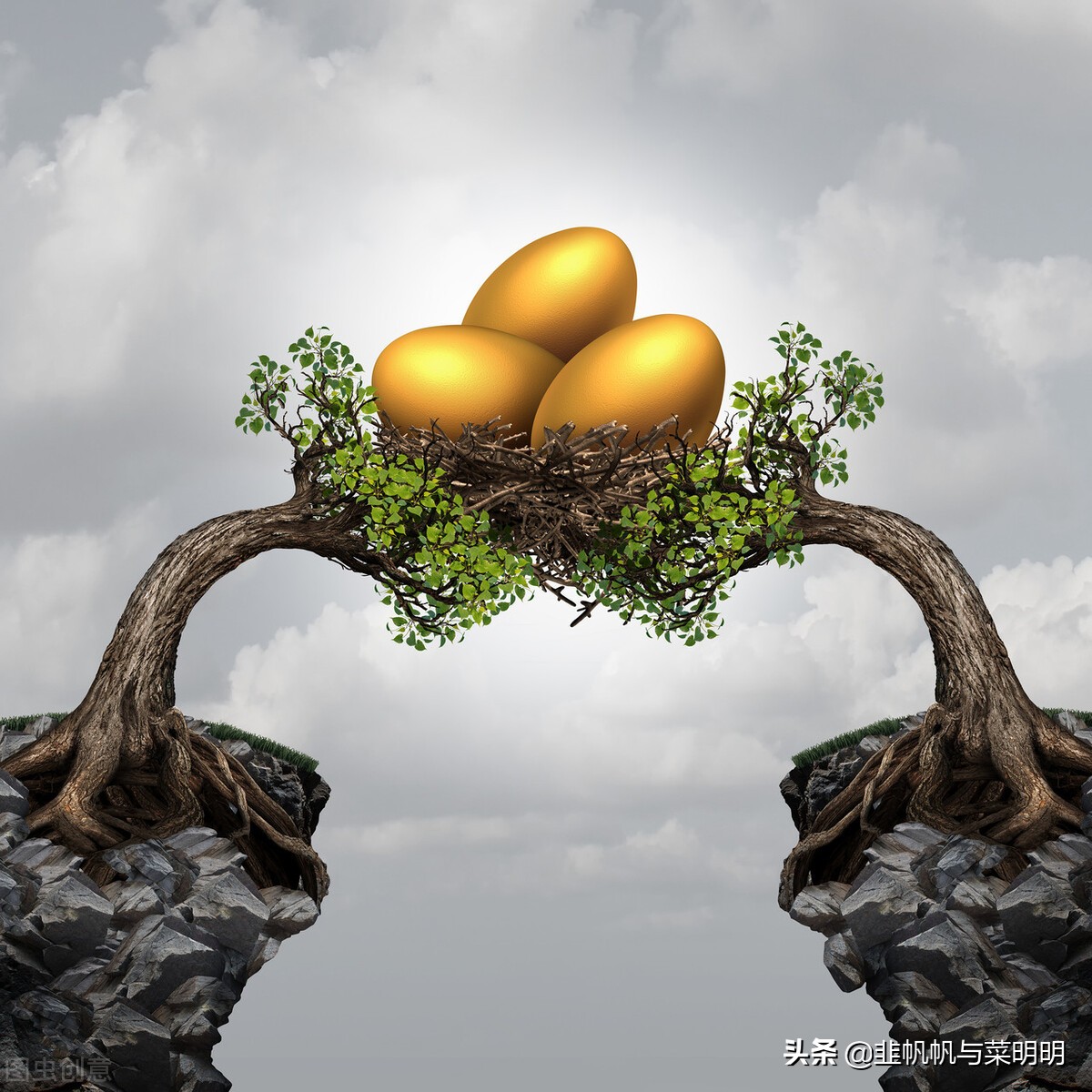 菜明明小白理财课~什么是理财规划？